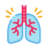 Respiratory Concerns
